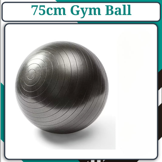 Yoga Gym Pilates Fit Anti Burst Swiss Ball With Pump 75cm