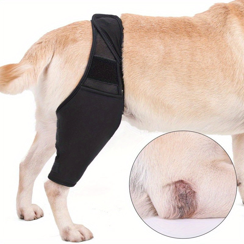 Pet Dog Leg Support Protective Cover, Injury Knee Pads Dog Leg Protector Protective Gear