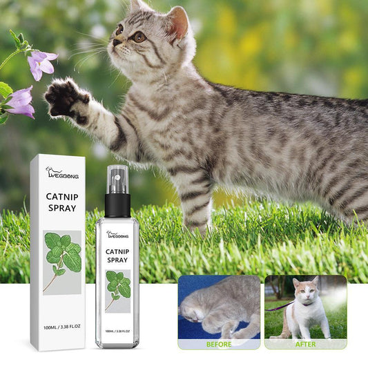 Herbal Cat Joy, Catnip Spray for Cats, Catnip Spray for Indoor Cats 2024