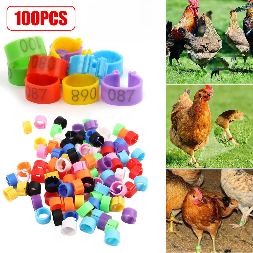 100PCS 001-100 Numbered 8/16 mm Pet Poultry Goose Chicken Duck Leg Band Rings