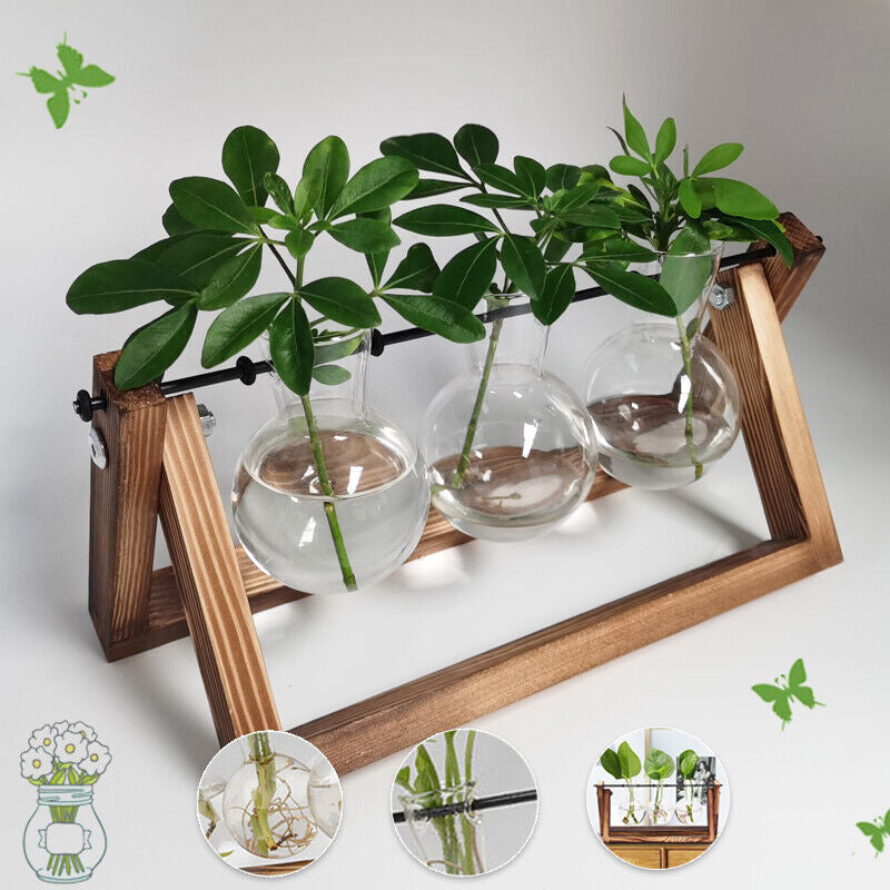 Glass Vases Wooden Stand Hanging Terrarium Container Hydroponics Pot Vase Decor