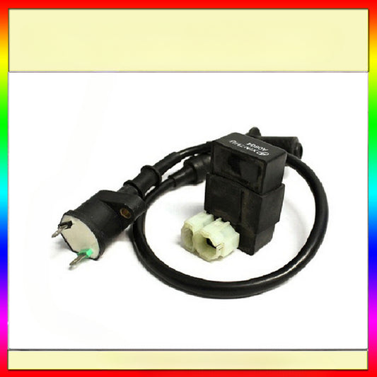 IGNITION COIL + CDI UNIT Honda TRX250TE TRX250TM TRX300 TRX300FW TRX350 TRX350D