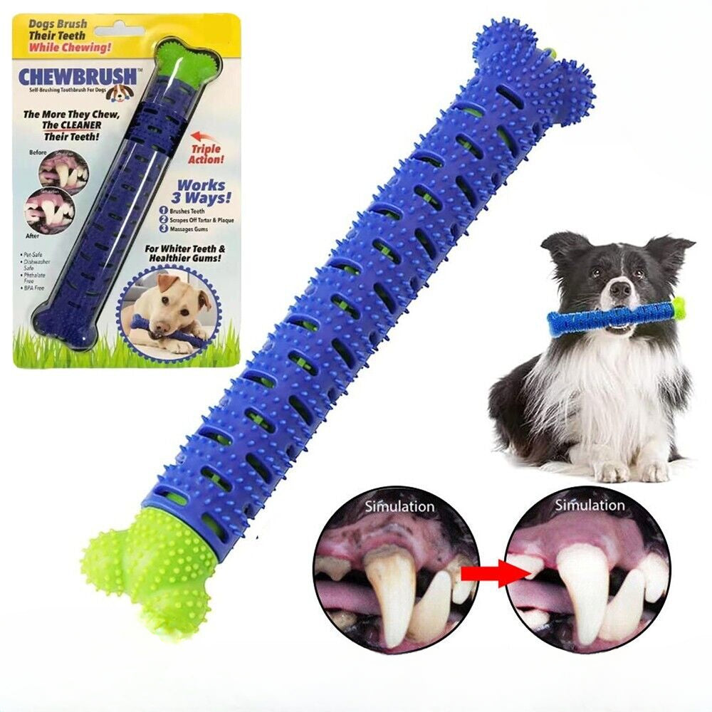 Pet Dog Toothbrush Drew Brush Bone Shape Toy Funny Chew Dental Care Toy