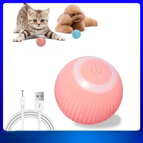 Power Ball 2.0 Cat Toy