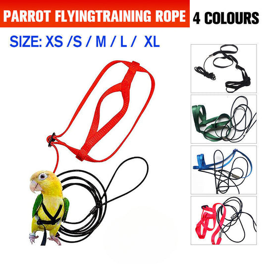 Pet Parrot Bird Harness Lead Leash Flying Training Rope Cockatiel Outdoor