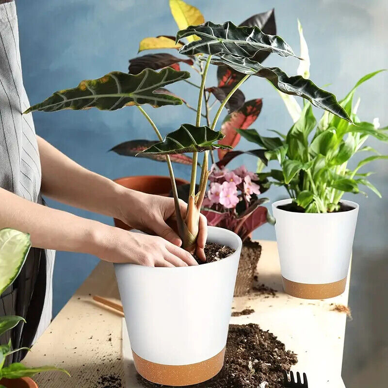 5Pcs Self Watering Planters Indoor Outdoor Home Garden Plants Flowers Pot