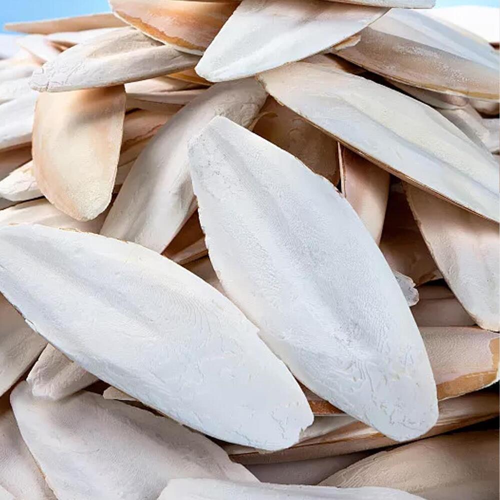 1 bag Cuttlebone Cuttlefish Bone Sepia Cuttle Fish Food Pickstone Bird S4O6