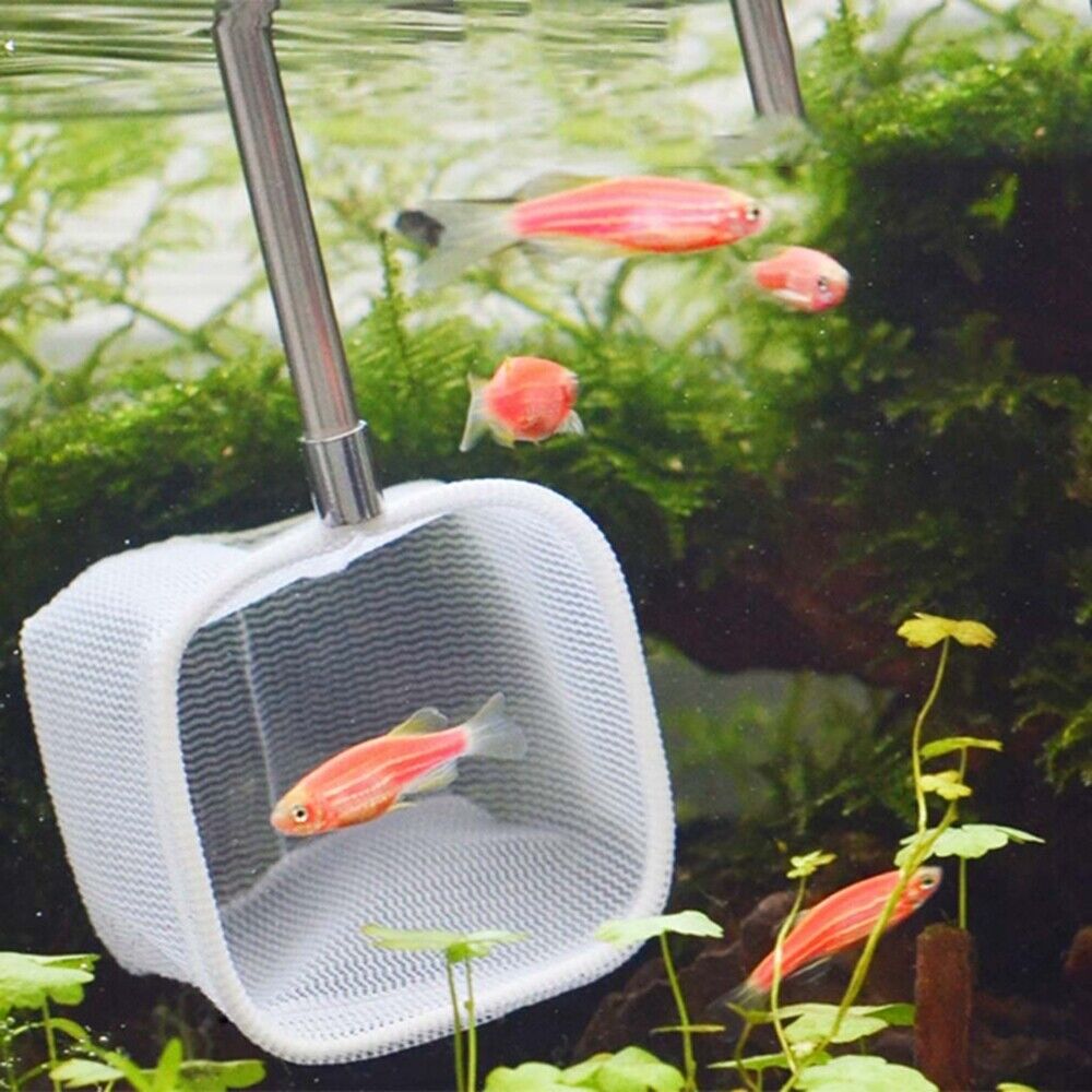 Scoop Shrimp Catching Fish Tank Accessory Fishnet Catch Net Aquarium Supplies