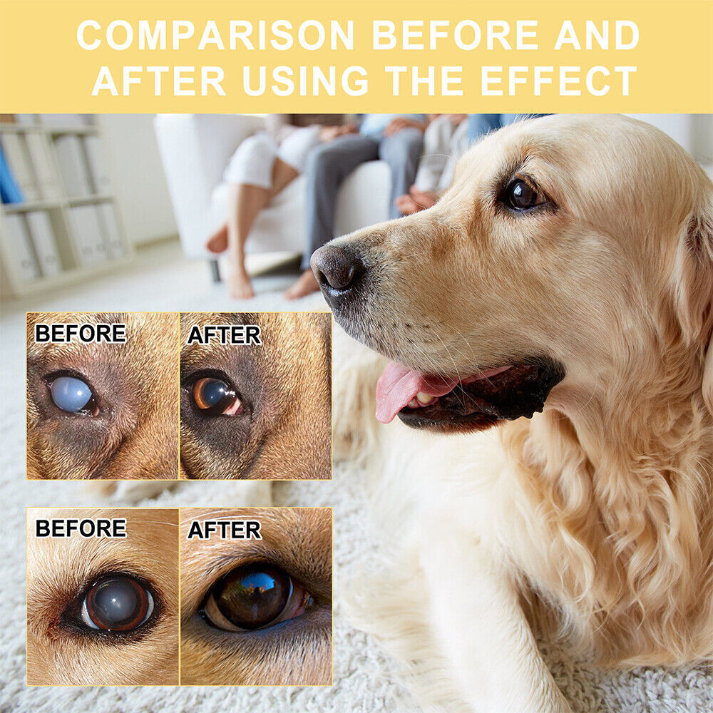 2x Eye Drops for Pet Anti Bacterial Viral and Fungal & Infections Dog Cat Eye Care╯