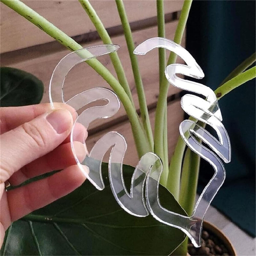 Monstera Grapple, Clear Monstera Leaf Plant Support, Acrylic Aesthetic Clamp NEW