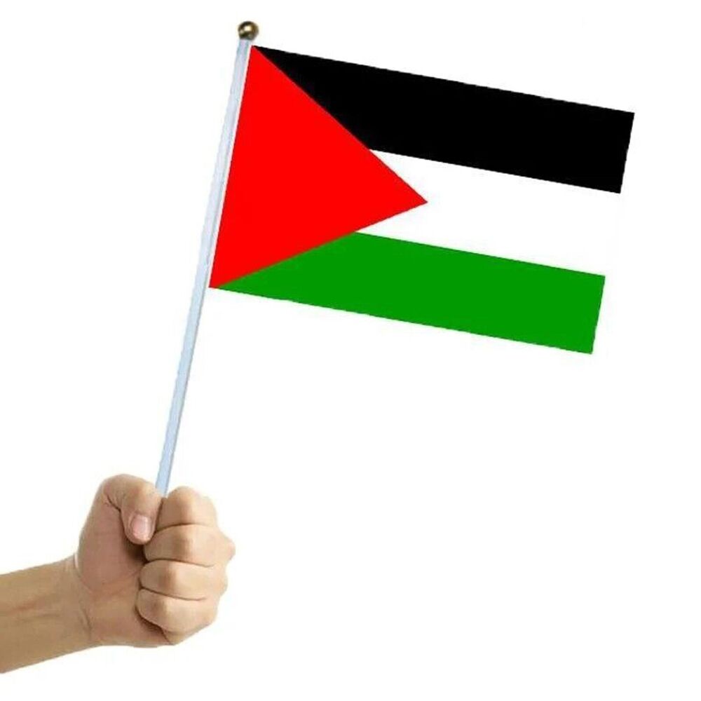 30PCS Palestinian National Hand Held Flags Palestine Stick Flag Small Miniature