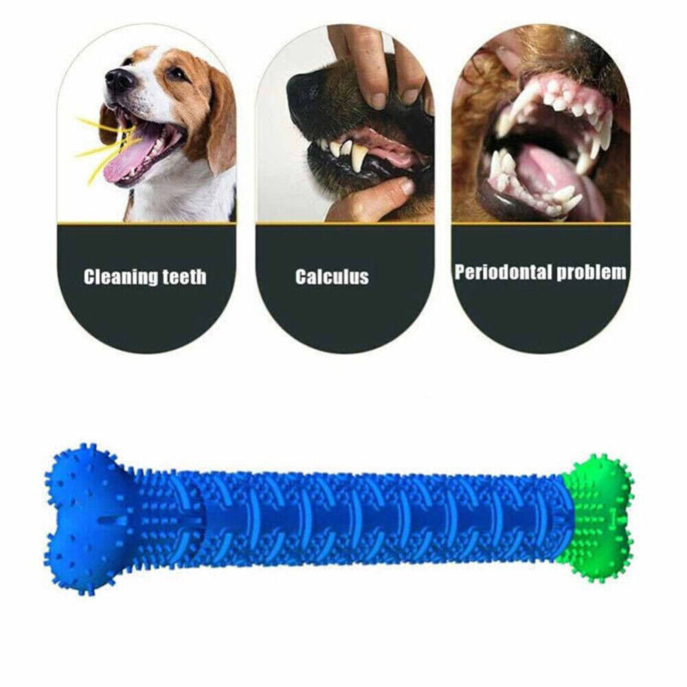 Pet Dog Toothbrush Drew Brush Bone Shape Toy Funny Chew Dental Care Toy