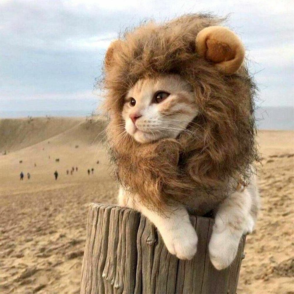 Wig Pet Small Dog Cats Costume Lion Mane Wig Cap Hat For Cat Dogs Fancy Costume