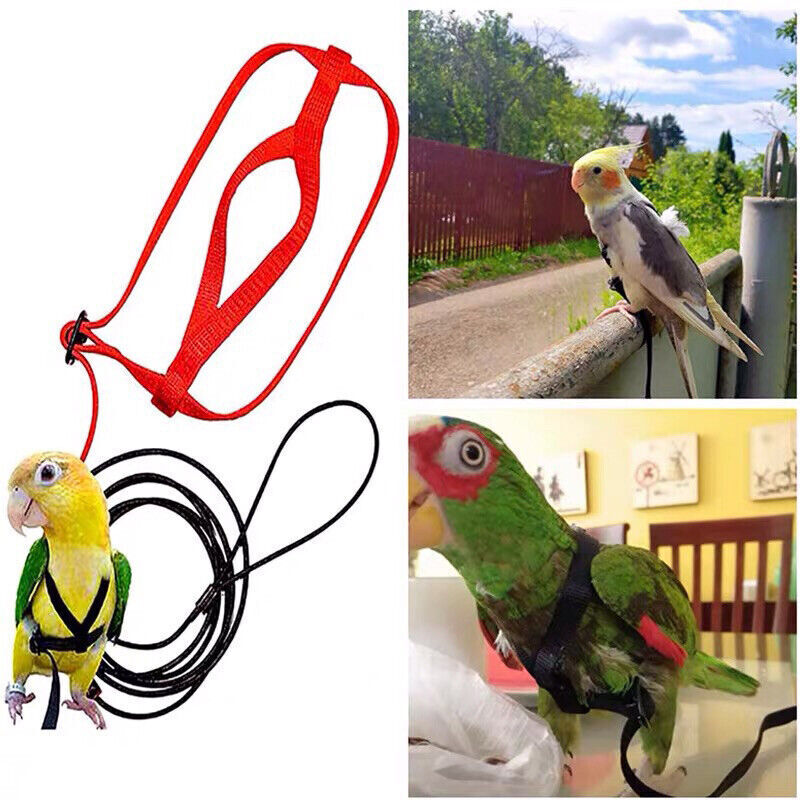 Pet Parrot Bird Harness Lead Leash Flying Training Rope Cockatiel Outdoor