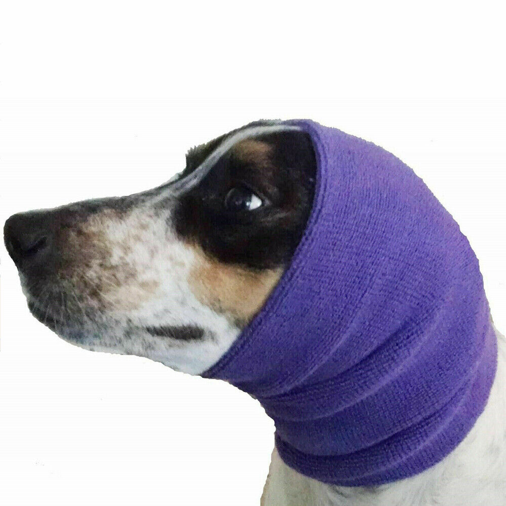 Happy Hoodie Purple, Dog Pet Grooming