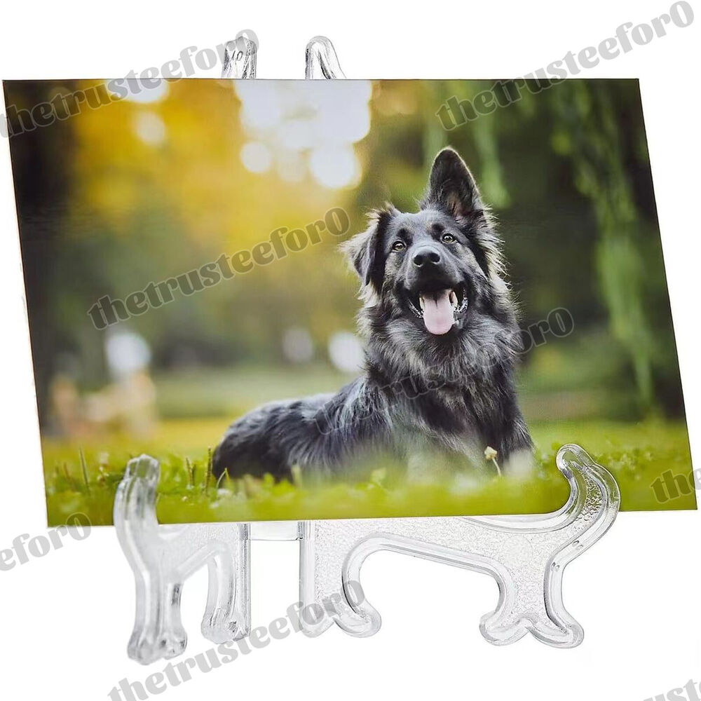 10X 5 Sizes Clear Plastic Display Plate Stand Easel Photo Picture Bowl Holder