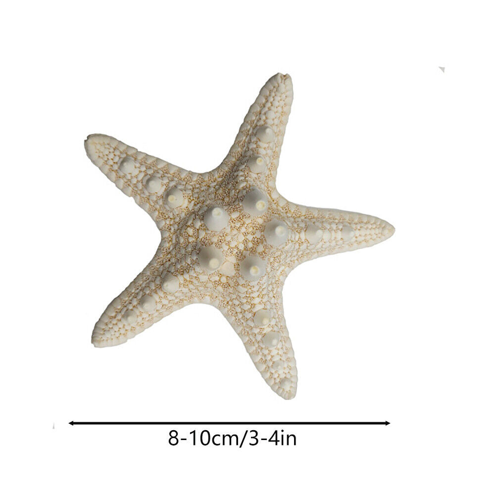 10Pcs Dried Starfish Beach Craft Wedding Party Home Decor Hanging Ornaments