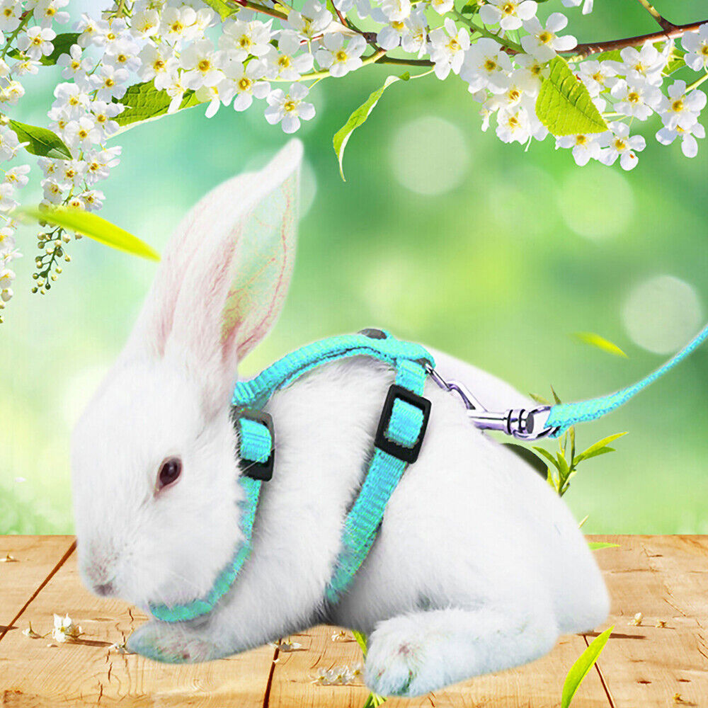 Running Walking Pet Rabbit Soft Harness Leash Adjustable Bunny Traction Rope