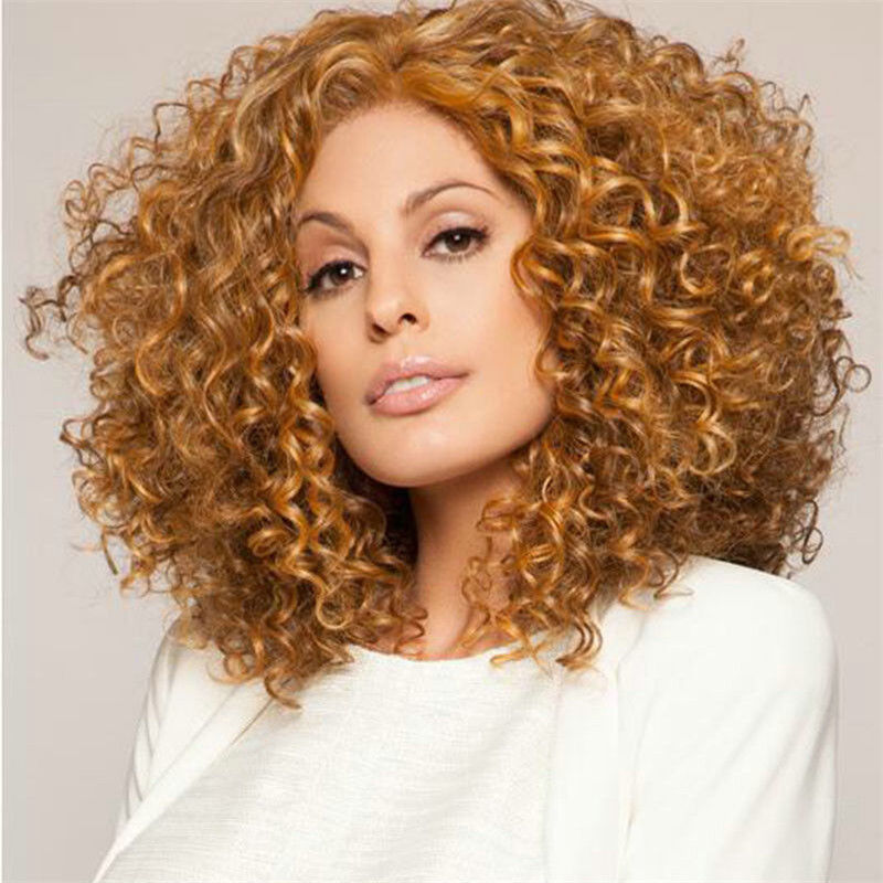 Long Full Wavy Front Lace Wig Afro Kinky Curly Natural Hair Wigs Women Black new