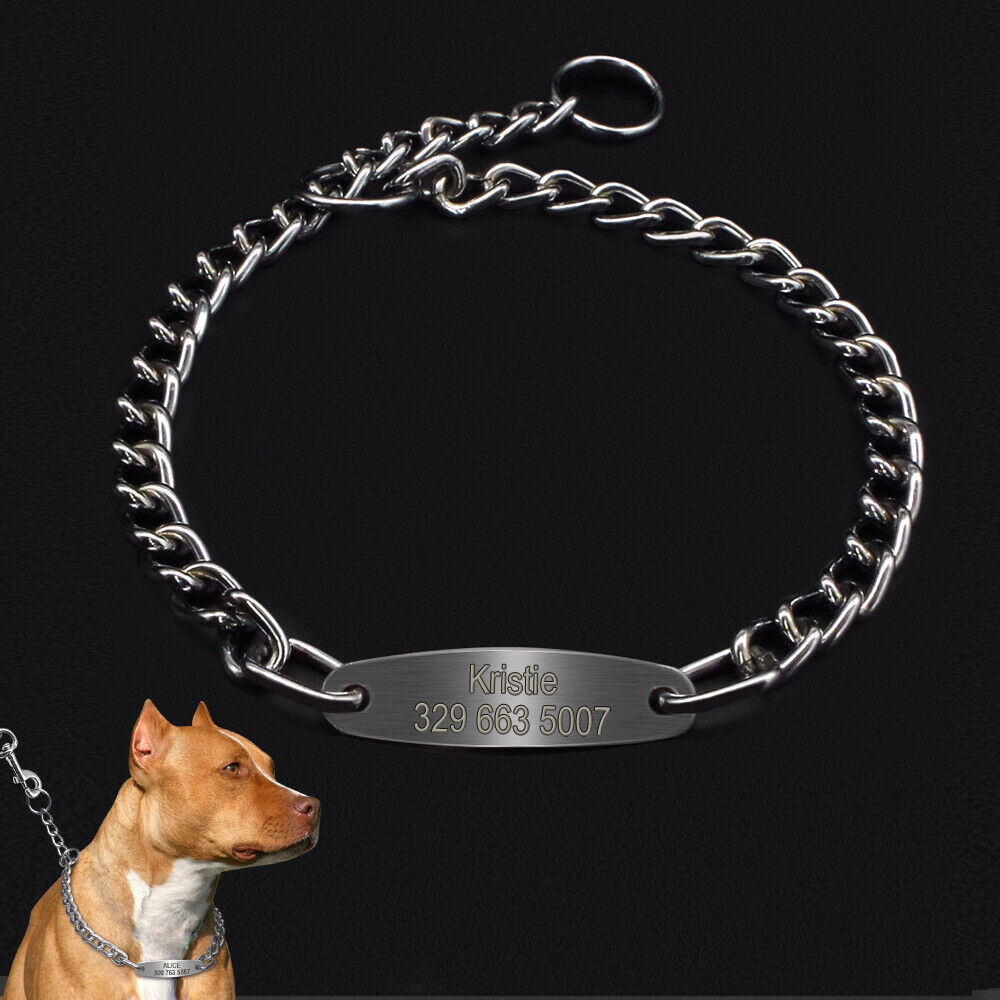 Personalized Dog Chain Choke Collar Engraved ID Slip Dog Collar for Pitbull Pug