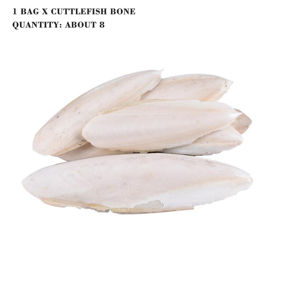 1 bag Cuttlebone Cuttlefish Bone Sepia Cuttle Fish Food Pickstone Bird S4O6