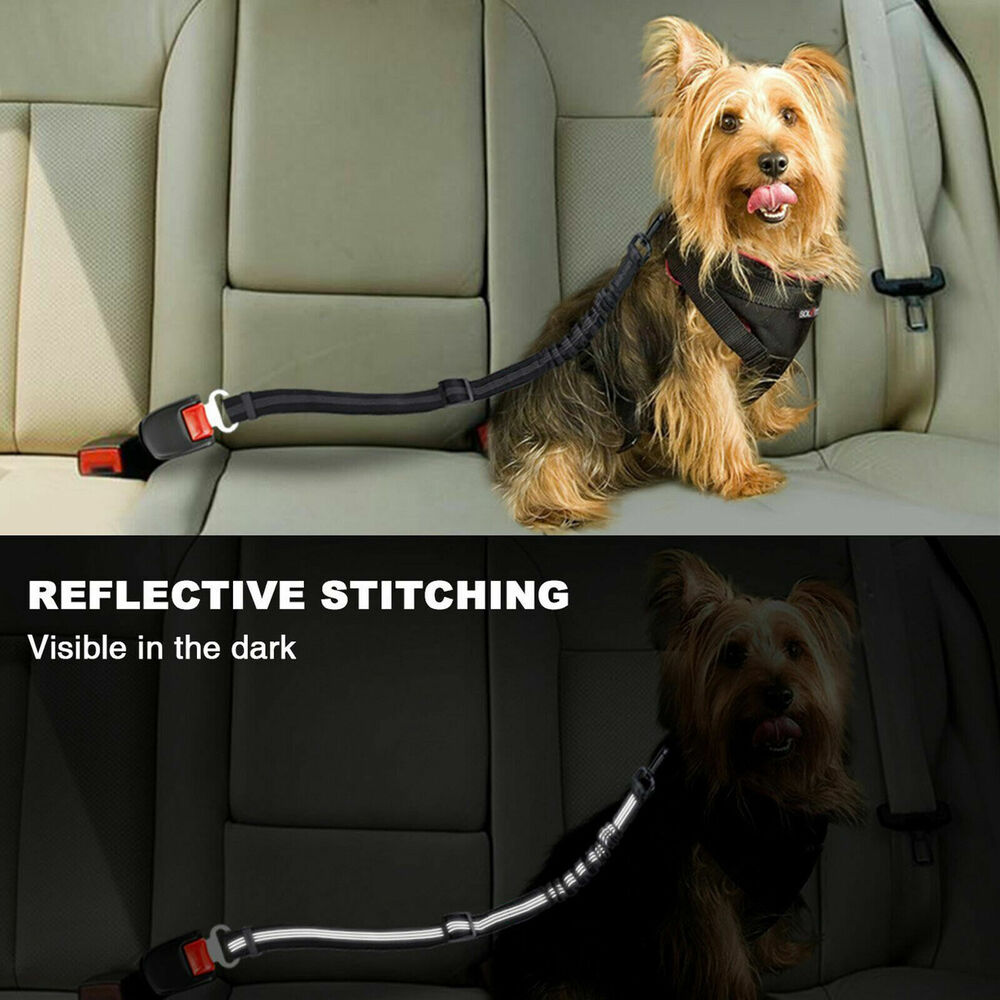 Pet Dog Car Seat Belt Clip Bungee Lead Vehicle Travel Safety Harness