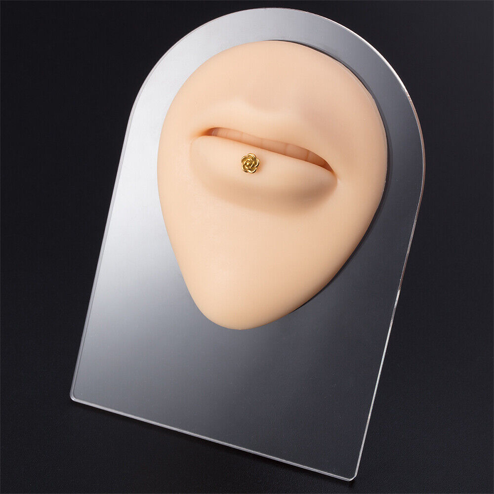 Silicone Ear Model with Acrylic Display Stand Body Part Practice Piercing Tool