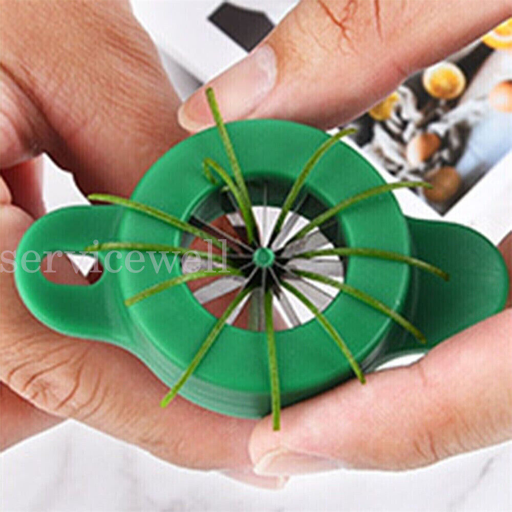 Onion Fruit Vegetable Scallion Cutter Shred Silk Chopped Slicer