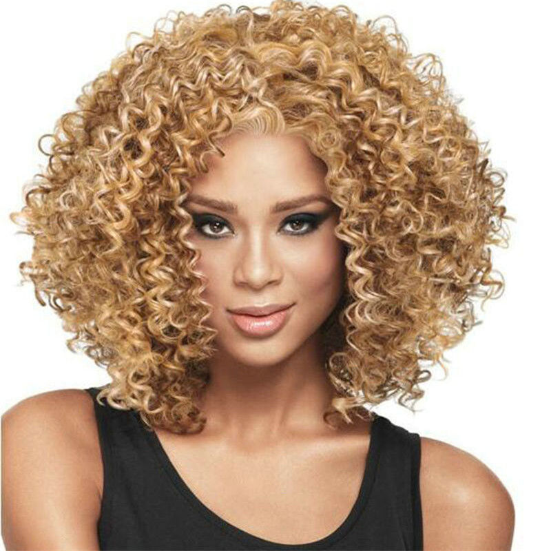 Long Full Wavy Front Lace Wig Afro Kinky Curly Natural Hair Wigs Women Black new