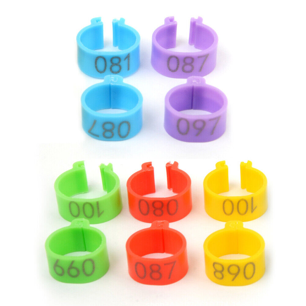 100PCS 001-100 Numbered 8/16 mm Pet Poultry Goose Chicken Duck Leg Band Rings