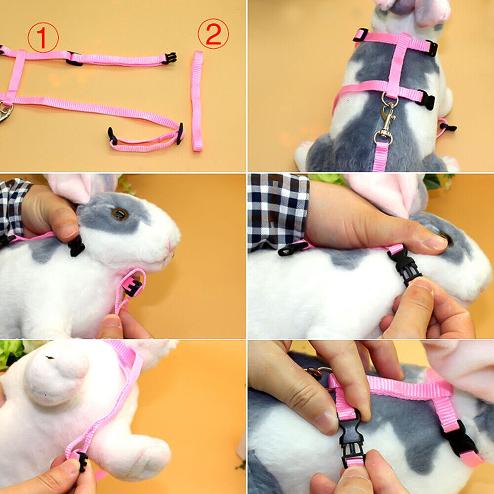 Running Walking Pet Rabbit Soft Harness Leash Adjustable Bunny Traction Rope