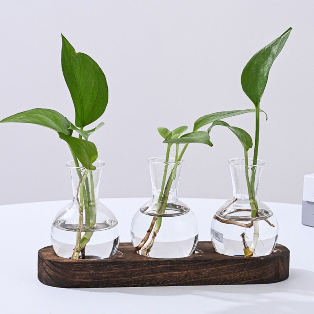 3/5 Desktop Bulb Glass Vase Wooden Stand Hydroponics Plant Propagation Station