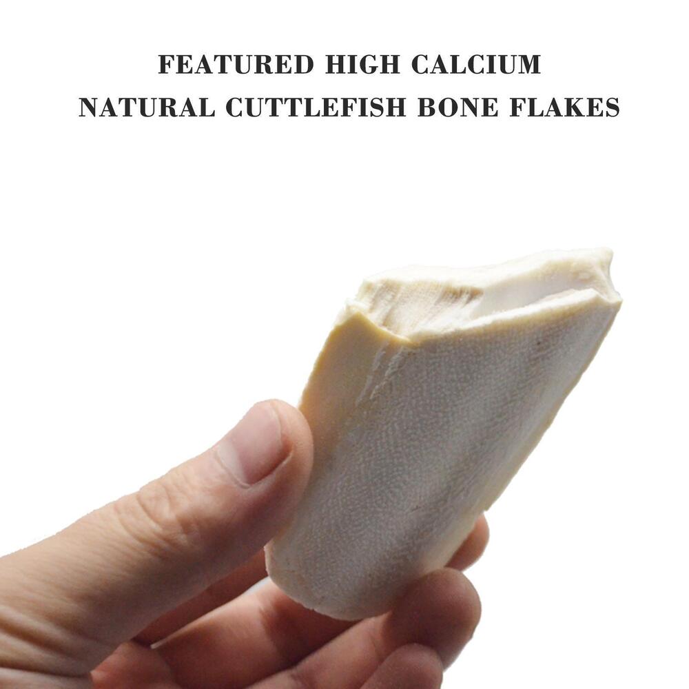 1 bag Cuttlebone Cuttlefish Bone Sepia Cuttle Fish Food Pickstone Bird S4O6