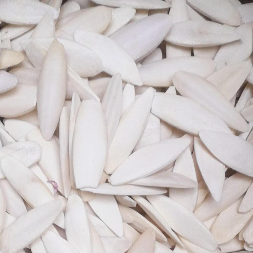 1 bag Cuttlebone Cuttlefish Bone Sepia Cuttle Fish Food Pickstone Bird S4O6