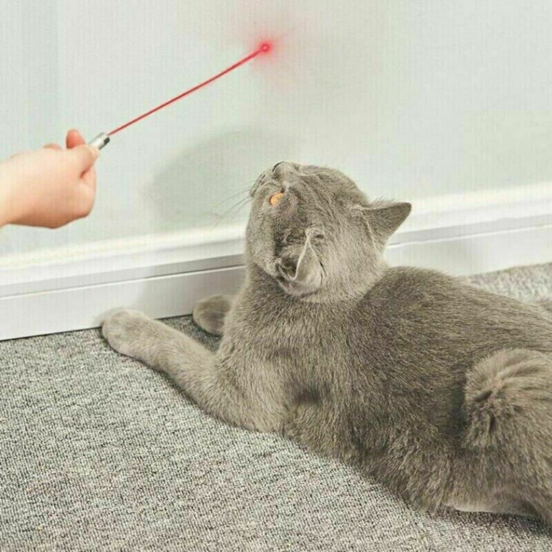 3x Laser Pointer Pen Green Purple Red Light Visible Beam For Cat Dog office Pet