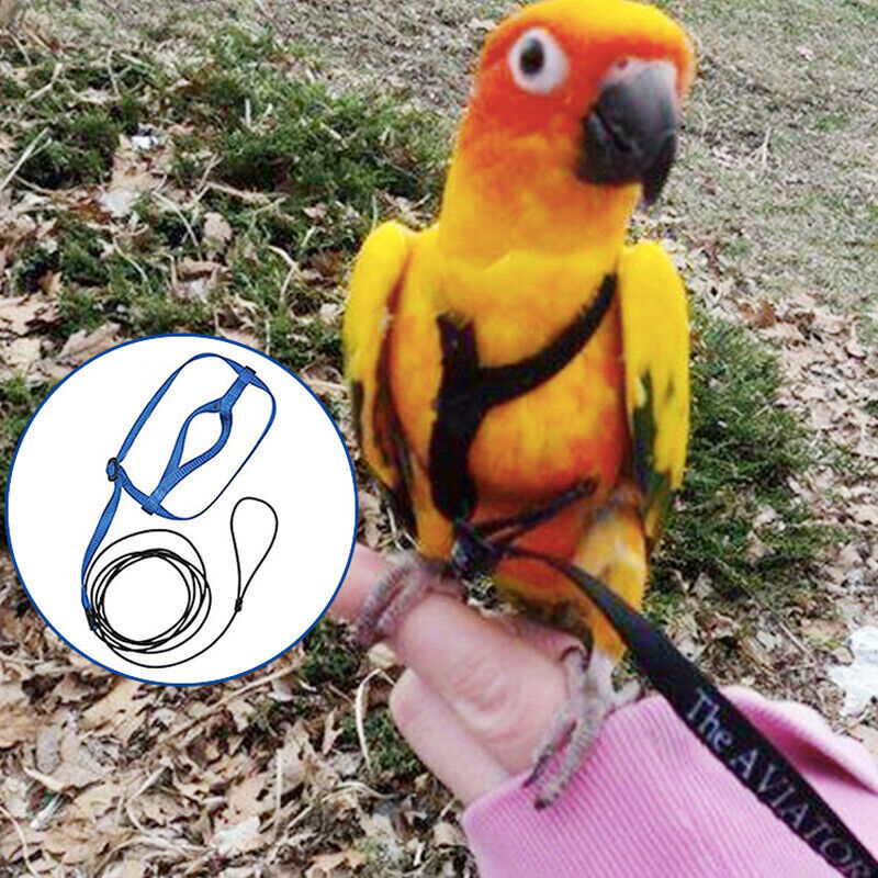 Pet Parrot Bird Harness Lead Leash Flying Training Rope Cockatiel Outdoor