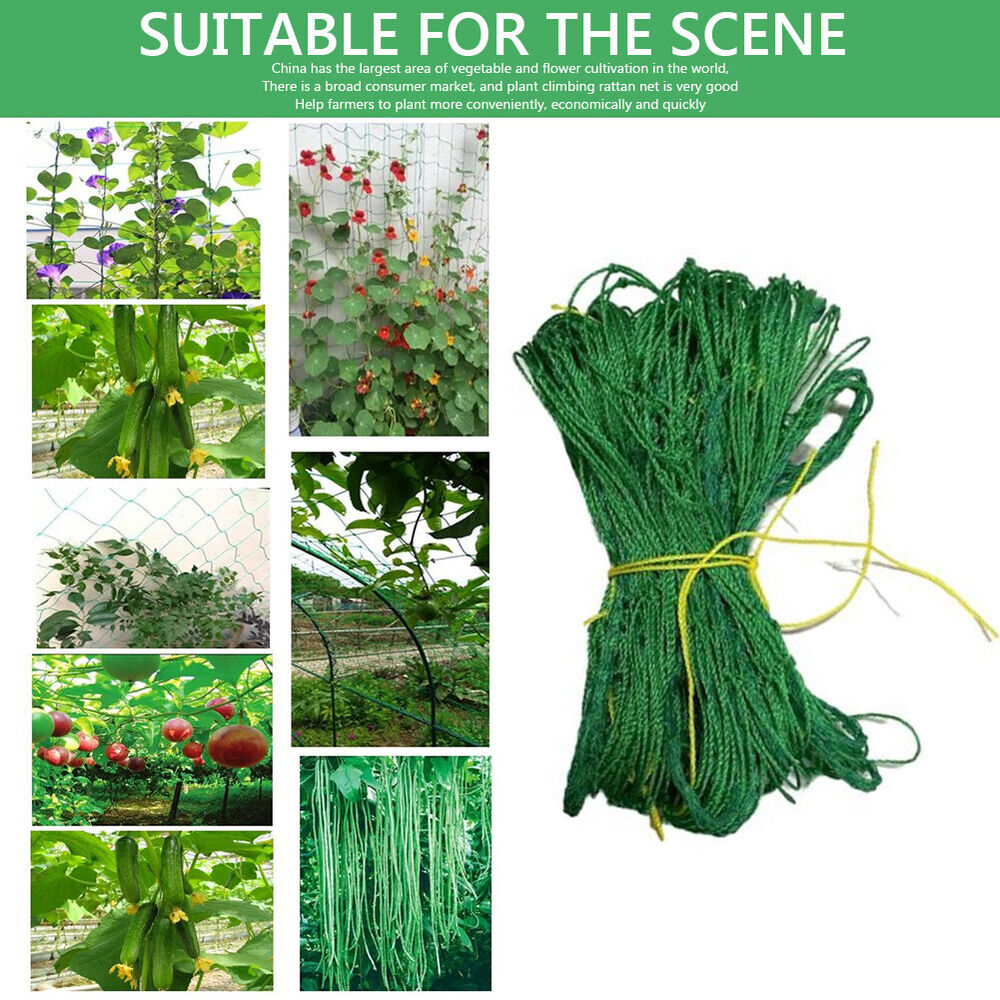 NEW Climbing Rattan Net Ornaments Plant Support Net Heat-resistance for Grapes B