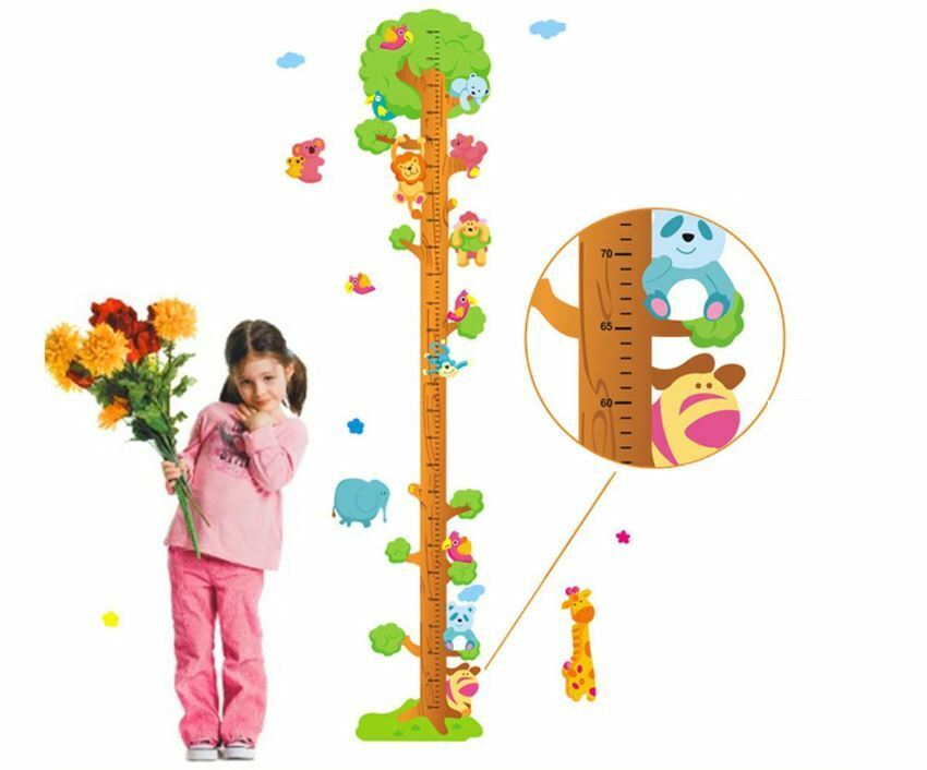 Wall Stickers Removable Giraffe Koala Tree Height Kids Decal Growth Chart