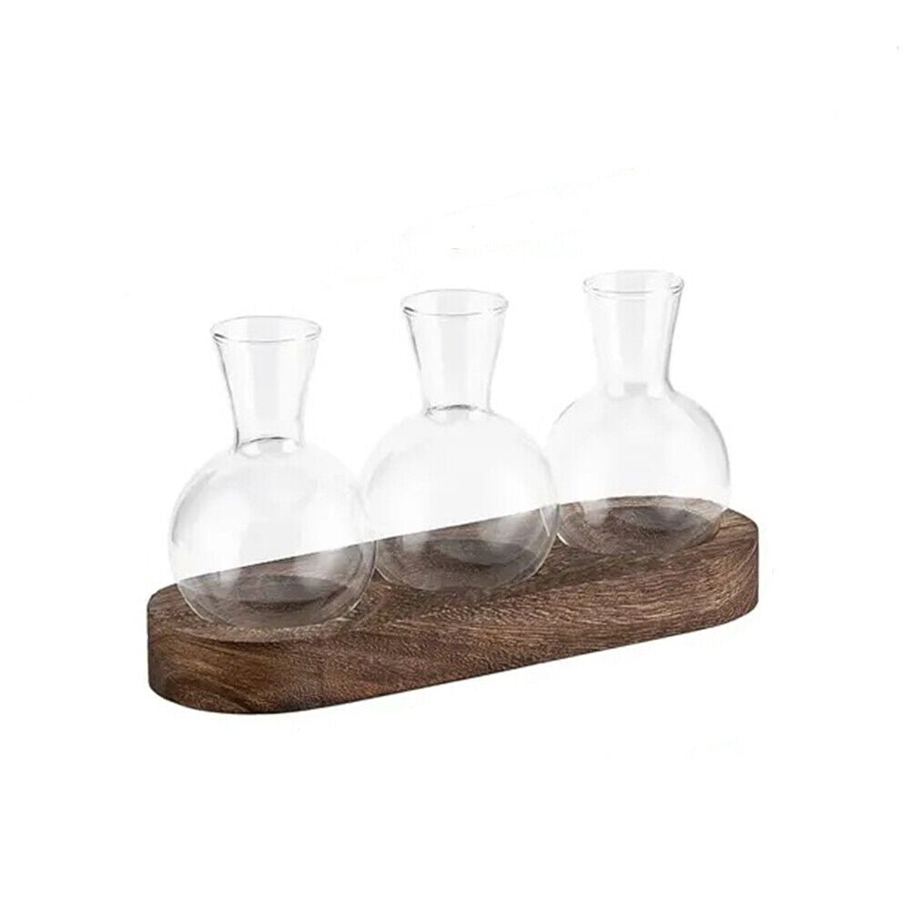 3/5 Desktop Bulb Glass Vase Wooden Stand Hydroponics Plant Propagation Station