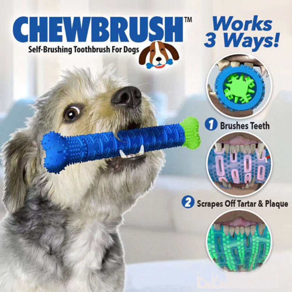 Pet Dog Toothbrush Drew Brush Bone Shape Toy Funny Chew Dental Care Toy