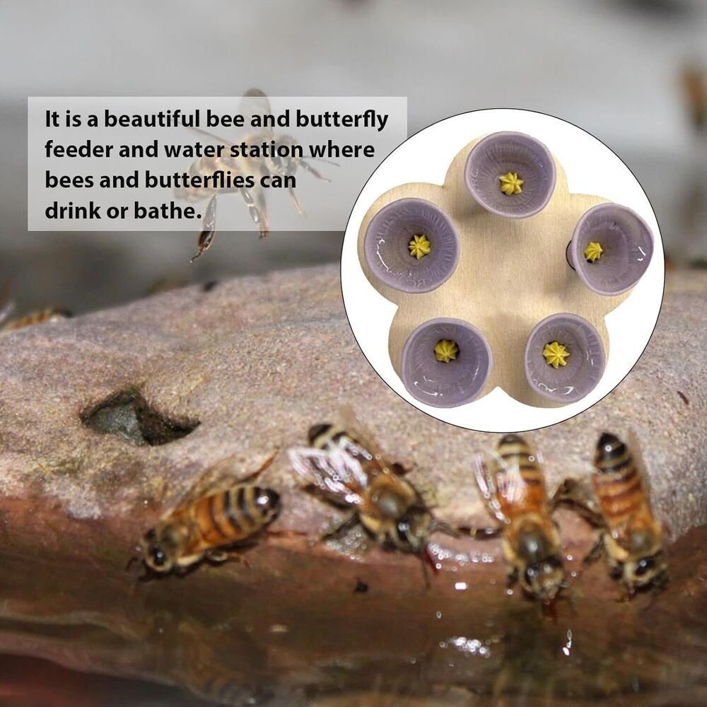 5 Cups Insects-Bee Drinking Cup Bee-Watering Station for Feeding and Watering