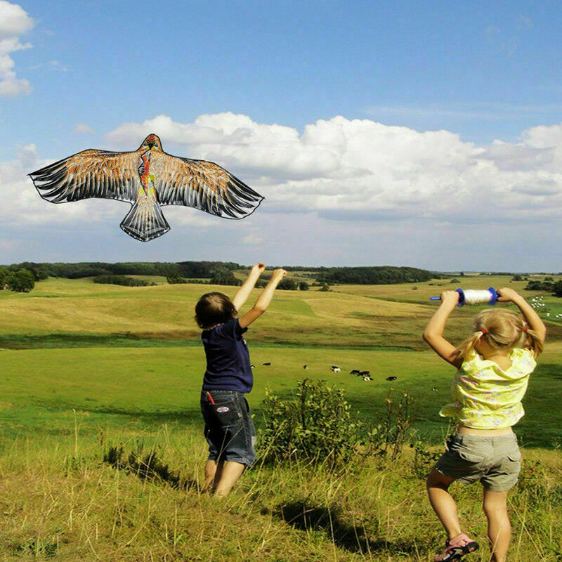 3D Flying Large Eagle Bird Kite Family Kids Outdoor Toy Sports Gift S5H2