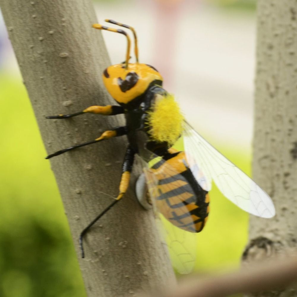 Outdoor Insect Fridge Magnet Lifelike High Imitation Insect Toy Home