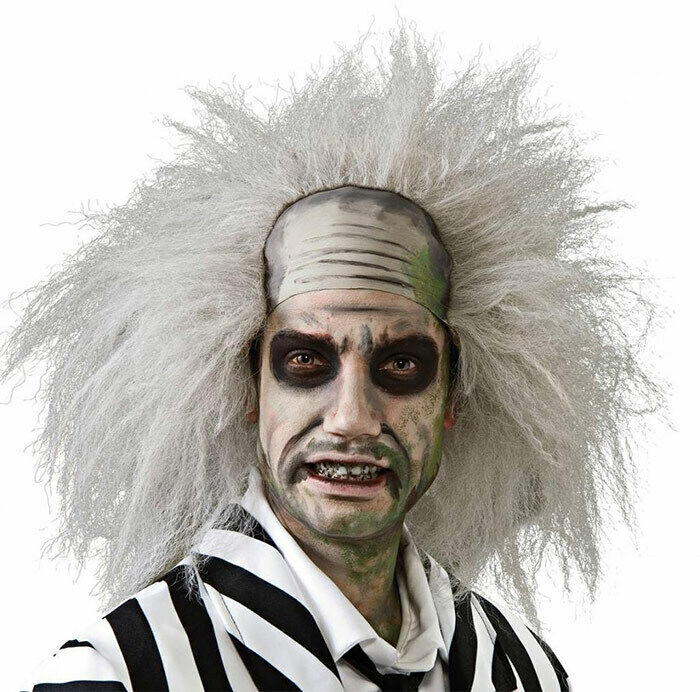 Mr Beetlejuice Wig Mens Adult Fancy Dress Halloween Crazy Costume Accessory