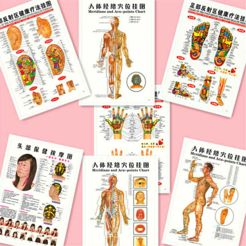 Whole body English Acupuncture Meridian Acupressure Points Poster Chart Wall Map