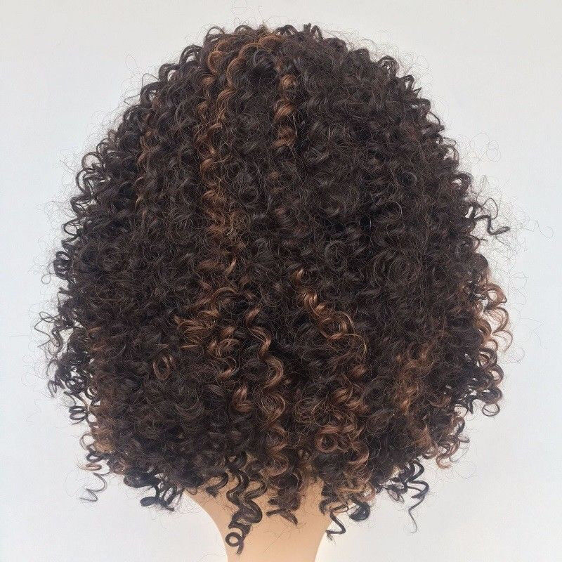 Long Full Wavy Front Lace Wig Afro Kinky Curly Natural Hair Wigs Women Black new