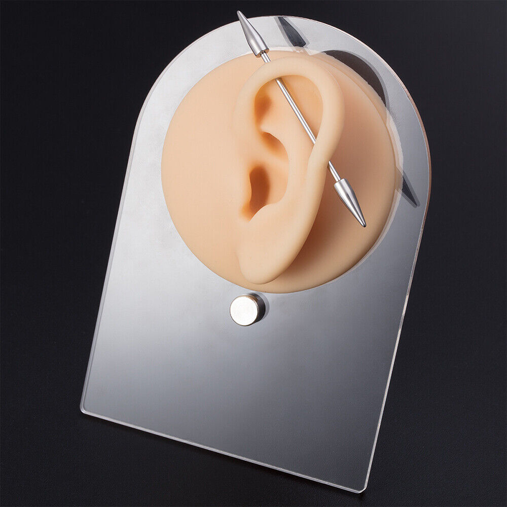 Silicone Ear Model with Acrylic Display Stand Body Part Practice Piercing Tool