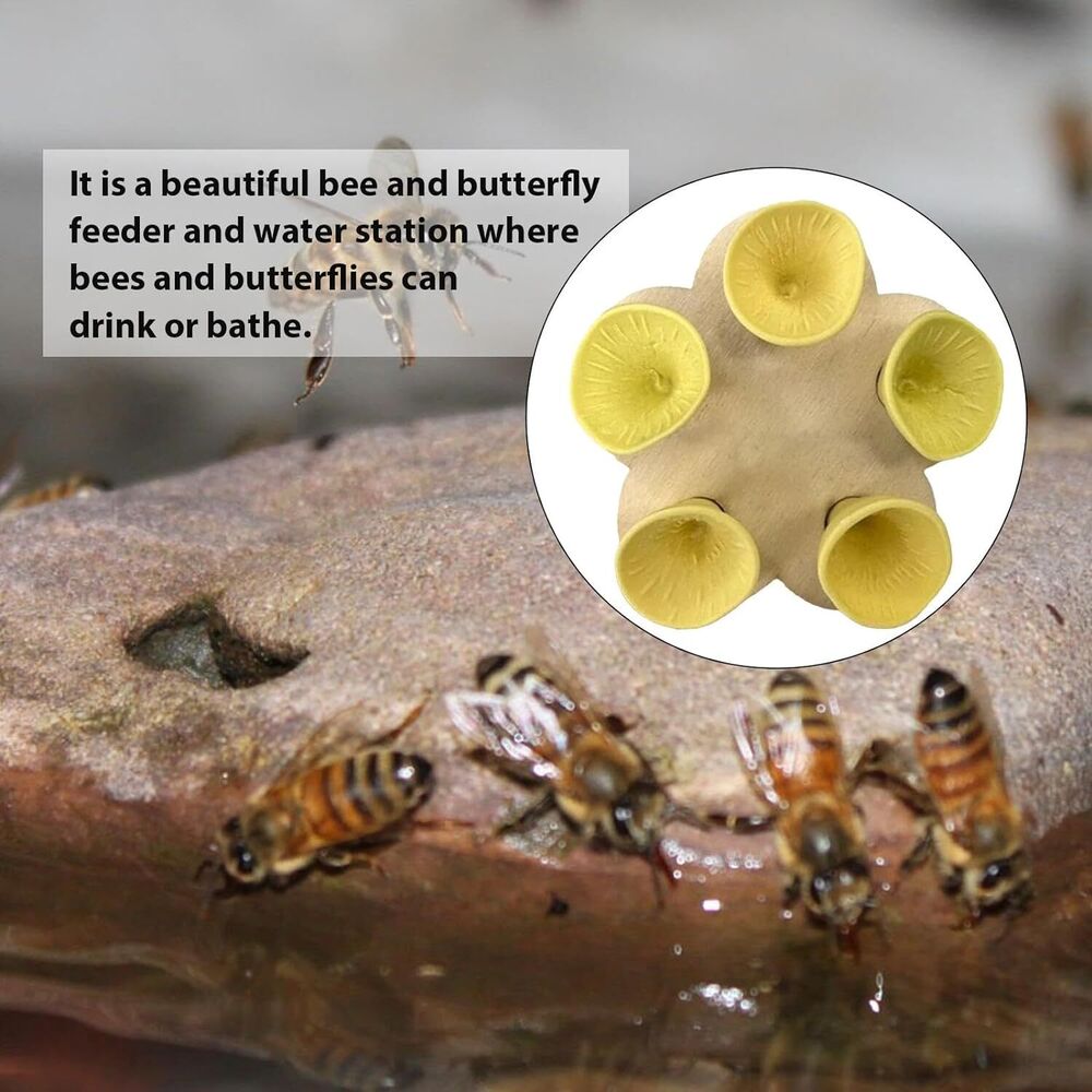 5 Cups Insects-Bee Drinking Cup Bee-Watering Station for Feeding and Watering