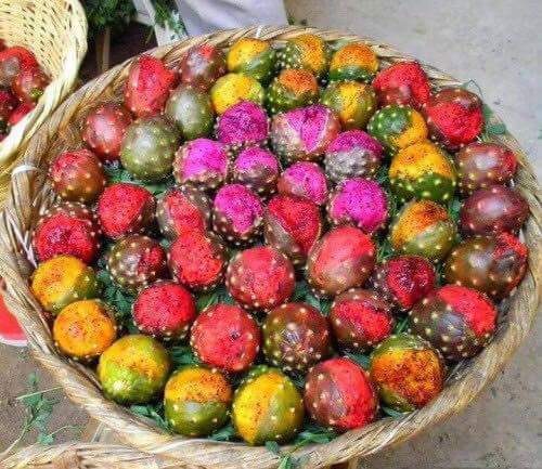 Pitaya Seed 200 Mixed Color Pitaya Seeds Dragon Fruit Organic Fruit Heirloom