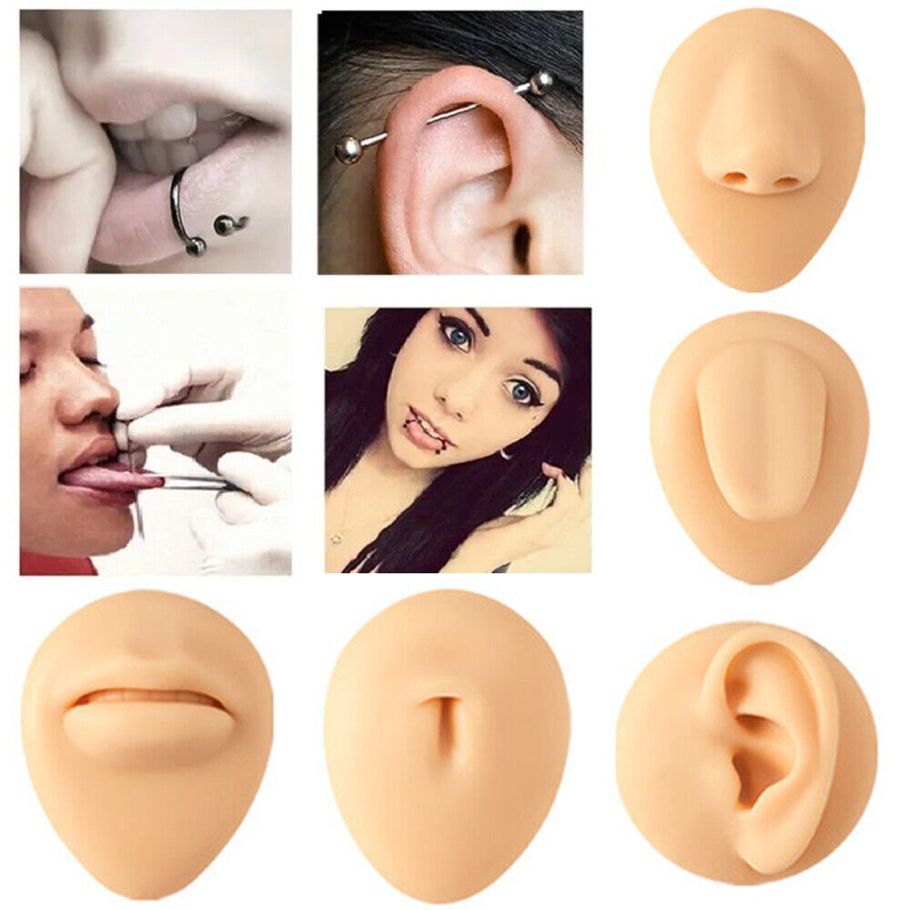 Silicone Ear Model with Acrylic Display Stand Body Part Practice Piercing Tool